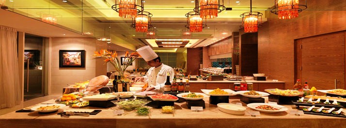 776/Hotel Royal Orchid - Jaipur 06.jpg